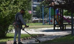 Söğüt’te yeşil alanlara bahar dokunuşu