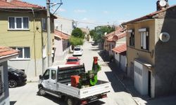 Eskişehir'de kene ve sineklere karşı mücadelede!