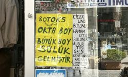 “Botoks etkili” sülüklere ilgi artıyor: Uzmanlar uyarıyor!