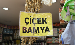 Eskişehir'de fiyatı gerilese de hala cep yakıyor!