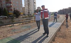 Eskişehir'de yeşil dokunuş: Tretuvar rengini halk belirledi