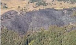 Afyon'daki yangında 5 hektarlık alan kül oldu