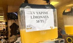 Eskişehir'de ev yapımı limonatalar yok satıyor: İşte fiyatı