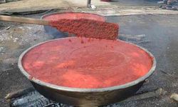 Geleneksel Salça Kaynatma etkinliği için geri sayım başladı!