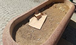 Eskişehir'de saksılar çöp kovasına döndü!