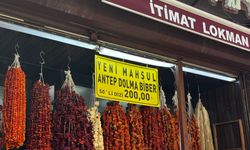 Eskişehir'de kurutulmuş biberlere ilgi yoğun: İşte fiyatı