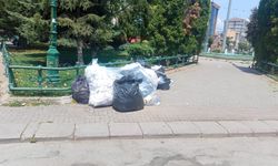 Eskişehir'in merkezine yakışmayan manzara: Koku, ihmalsizlik...