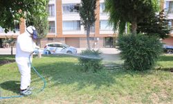 Eskişehirlilere kene alarmı: 35 merkez mahallesinde...