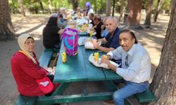 Eskişehir'de koca çınarlar eğlenceyi doğada buldu