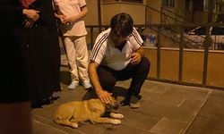Eskişehir'de vicdansız sürücü çarpıp kaçtı, mahalleli yardım etti!