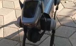 Robot köpek Eskişehirlilerin yeni merakı!