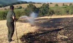 Bilecik'te anız yangını korkuttu!