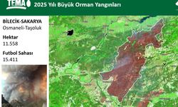 Bilecik’te orman yangınları 17 bin hektarı kül etti!