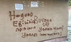 Eskişehir'de vatandaşın isyanı duvar yazısına taştı, sebebiyse...
