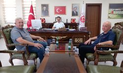 Emirdağ’da sahipsiz hayvanlar koruma altında