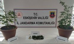 Eskişehir'de saksıda yetiştirdi, ekiplerden baskın!