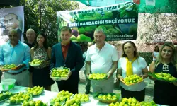 Güzelbahçe’de Bardacık Festivali 11. yılında da umut oldu
