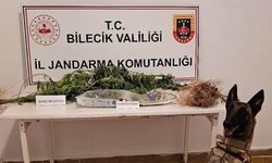 Bilecik'te Jandarma'dan zehir satıcılara geçit yok!