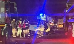 Yola çıkan domuz kaza getirdi: 5 yaralı!