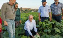 Kızılinler’de tarımda yeni adımlar