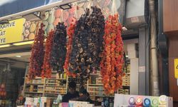 Eskişehir’de kış hazırlıkları başladı