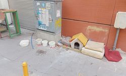 Eskişehir'de can dostlar için örnek davranış!
