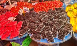 Eskişehir'de kilo fiyatını gören yanından geçemiyor!