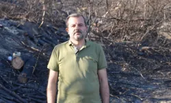 Yangın faciası sonrası ağaçlandırma seferberliği