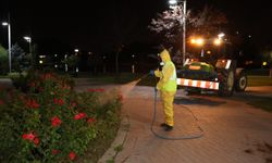 Eskişehir’de yeşil alanlar gece ilaçlamalarıyla korunuyor