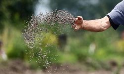 Türk tohumculuk sektörü ilk 5 hedefini koydu