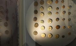 Roma dönemine ait 83 sikke Türkiye'ye iade edildi