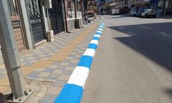 Pazaryerispor’un renkleri şehri süsledi