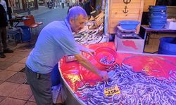 Eskişehir'de balık tezgahları dolacak: Hamsinin kilosu ne kadar olacak?