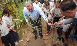 Kaymakam Öztürk’ten eğitime yeşil dokunuş