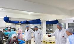 Kırsal kalkınma yatırımları büyüyor, İl müdürü sahada