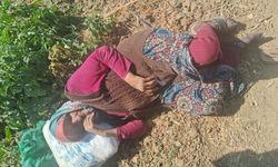 Eskişehir'de kaybolmuştu, bu halde bulundu!