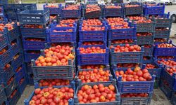 Eskişehir'den getiriliyor, talepler patladı!