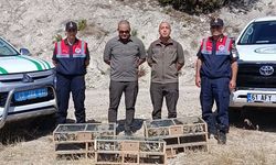 İzinsiz yakalanan saka kuşları doğaya salındı!