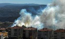 Salça kaynatırken 30 dönümlük alan kül oldu!