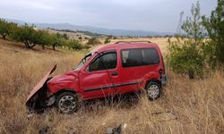 Bilecik’te hafif ticari araç tarlaya uçtu