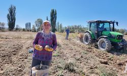 Eskişehir'de kuraklığa rağmen dekardan 4 ton verim