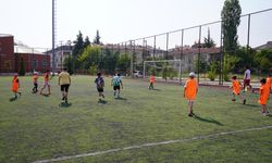 Behiç Erkin Sahası kapatıldı