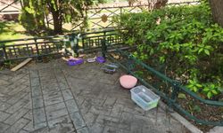 Eskişehir'de duyarlı vatandaşlardan sokak hayvanlarına destek!