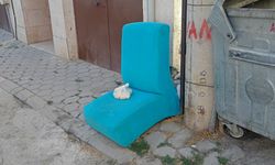 Eskişehir'de atık sorunu her geçen gün büyüyor!