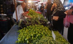 Eskişehir'de beklenti boşa çıktı:  Vatandaş turşu bile kuramadı