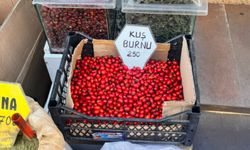 Eskişehir’de kuşburnu kışı karşılama hazırlıklarının vazgeçilmezi oldu!
