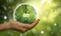 Türkiye’nin "Temiz Hidrojen Eylem Planı" son aşamaya geldi