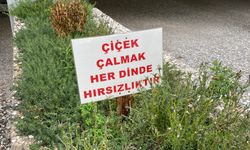 Eskişehir'de hırsızlar apartman bahçesine dadandı, çaldıkları ise...