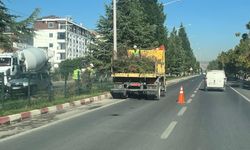 Tavşanlı'da ağaçları budama çalışması