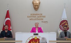 Bilecik'te 65 yaş üstü ulaşım sorunu çözüldü!